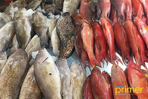 common fish in the philippines market|Fishes in the Philippine Market .